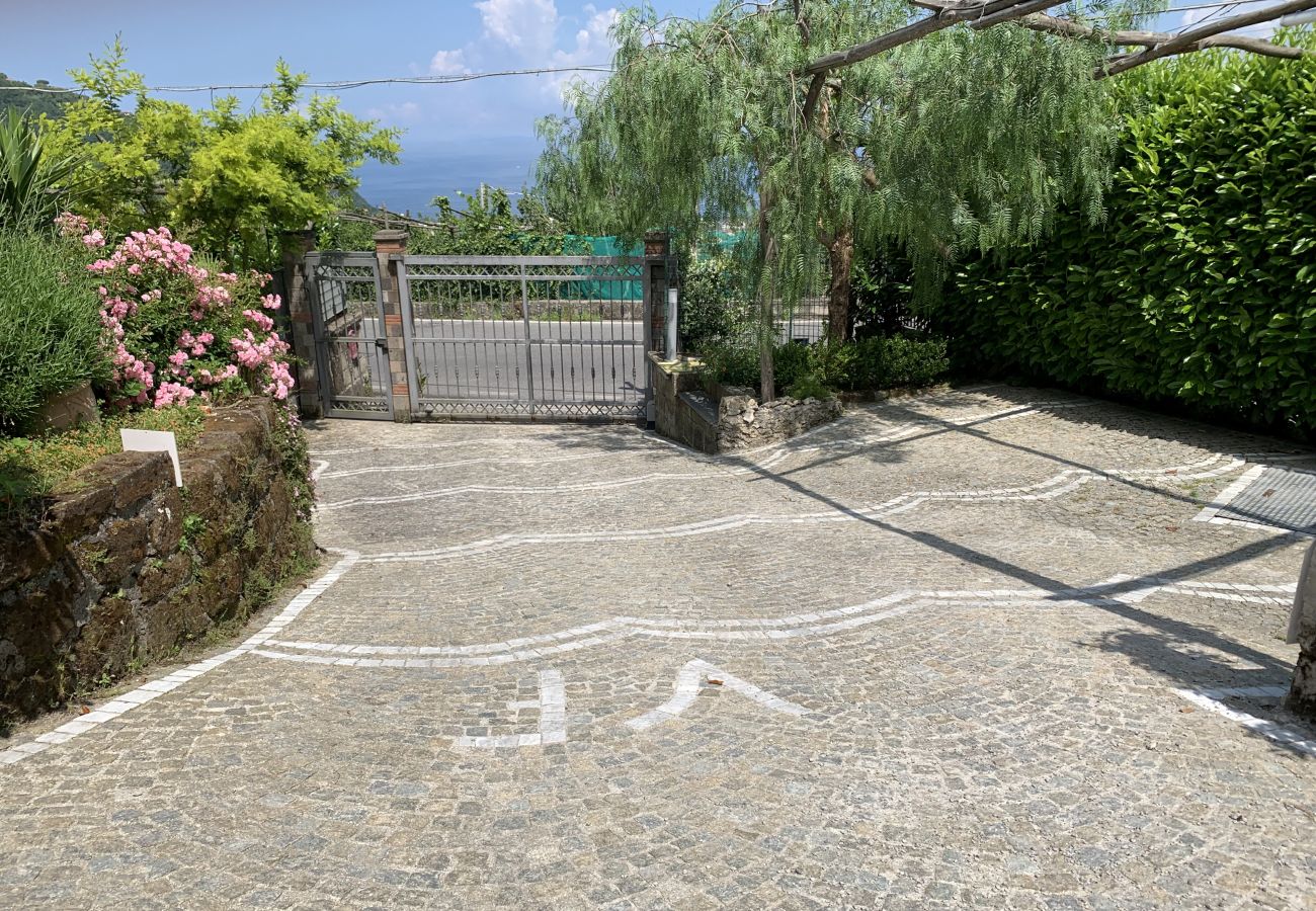 Villa a Sant´Agnello - AMORE RENTALS - Villa Tina con Piscina privata, Vista Mare, Terrazzi, Giardino e Parcheggio