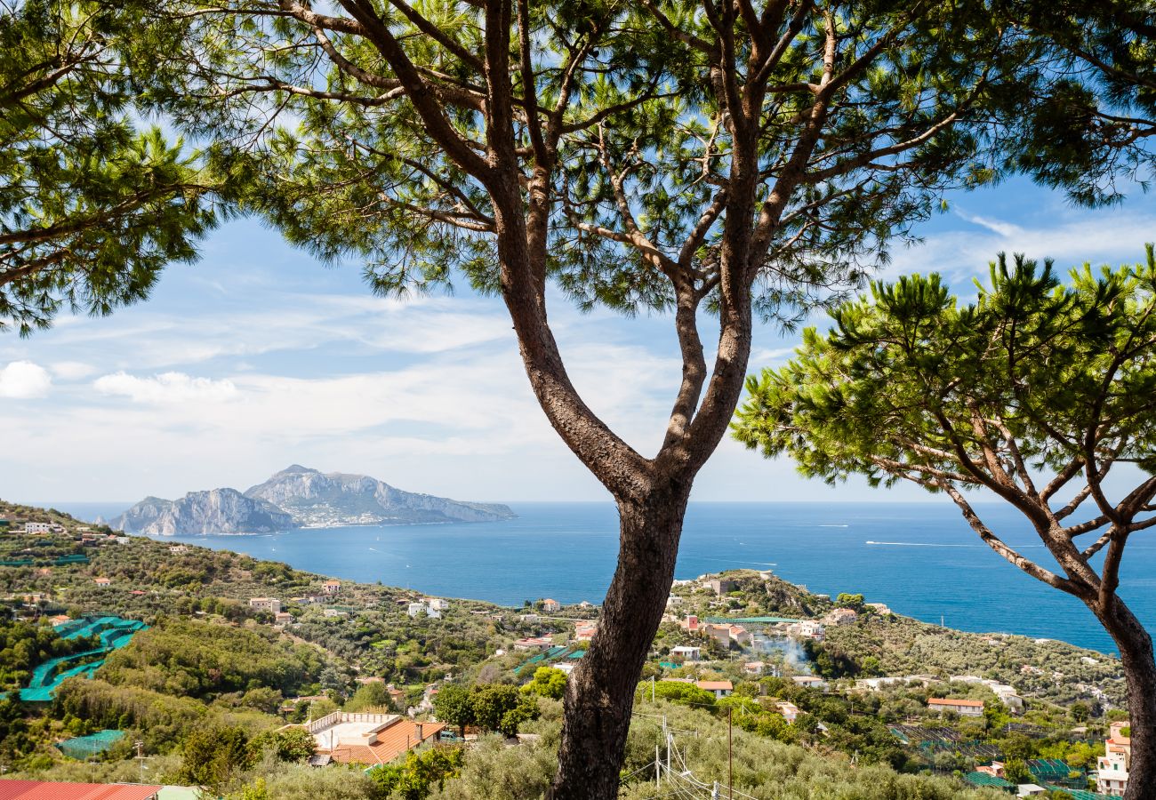 Villa a Massa Lubrense - AMORE RENTALS - Villa Pizzo con Piscina, Giardino, Vista Mare e Parcheggio