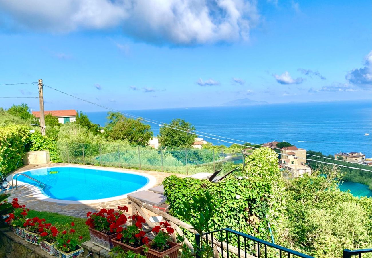 Villa a Massa Lubrense - AMORE RENTALS - Villa Stone on the Sea con Piscina Privata e Giardino