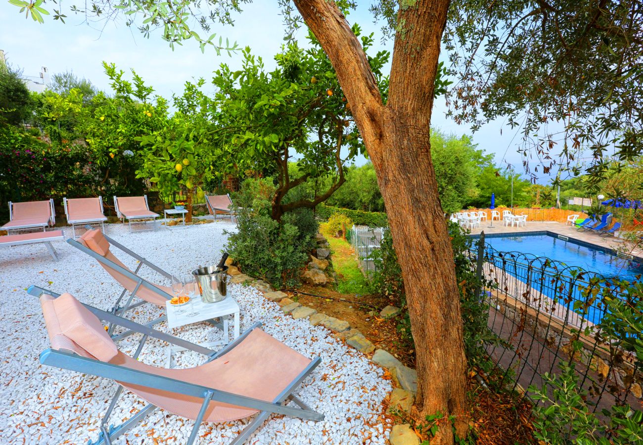 Villa a Sorrento - AMORE RENTALS - Villa Tittina con Piscina Condivisa e Vista Mare