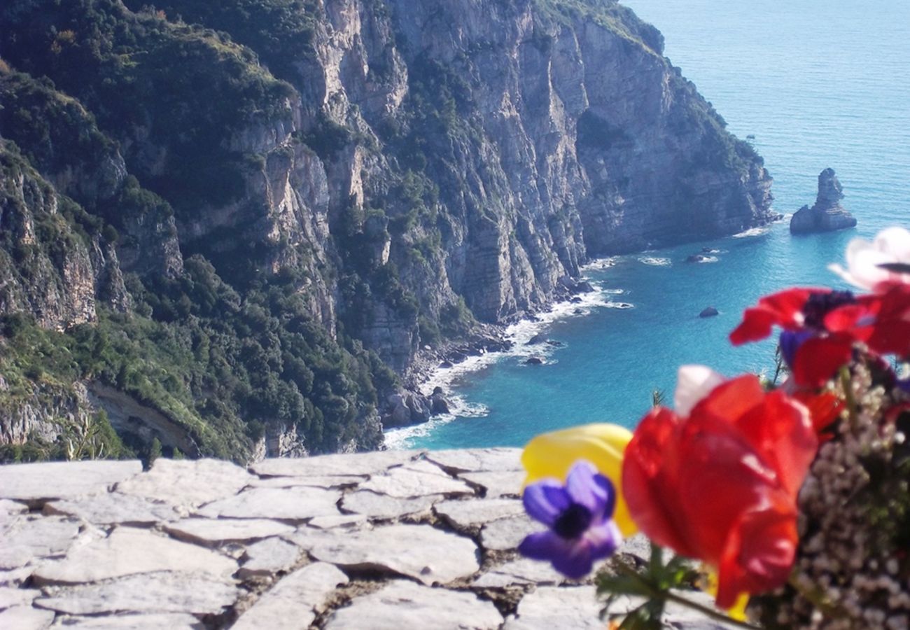 Casa a Positano - AMORE RENTALS - Villa Vanessa con Piscina Privata e Vista Mare