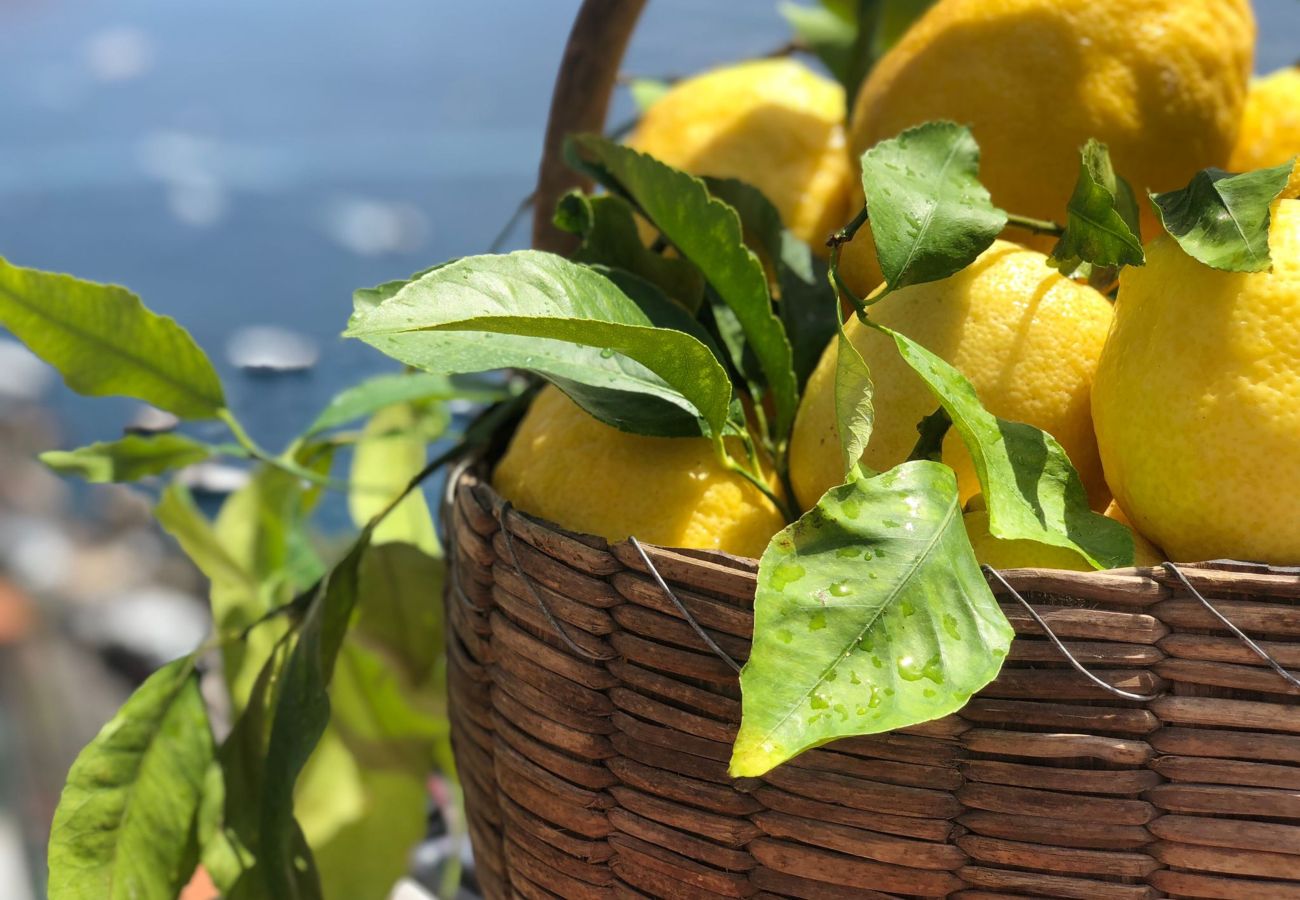 Villa a Amalfi - AMORE RENTALS - Villa Margherita con Vista Mare e Piscina