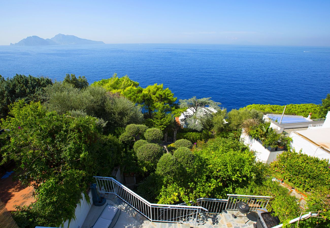 Villa a Massa Lubrense - AMORE RENTALS - Villa Domus Franca con Piscina Condivisa sul Mare