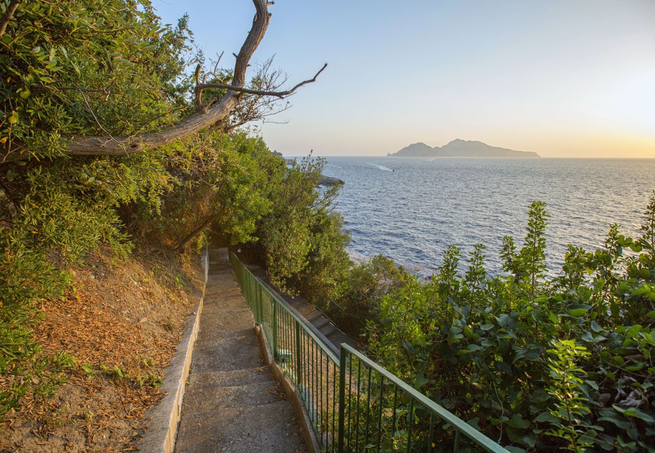 Villa a Massa Lubrense - AMORE RENTALS - Villa Domus Franca con Piscina Condivisa sul Mare