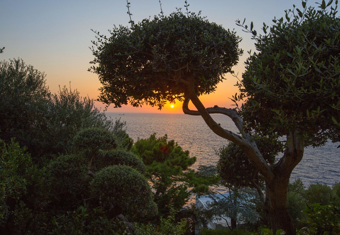 Villa a Massa Lubrense - AMORE RENTALS - Villa Domus Franca con Piscina Condivisa sul Mare