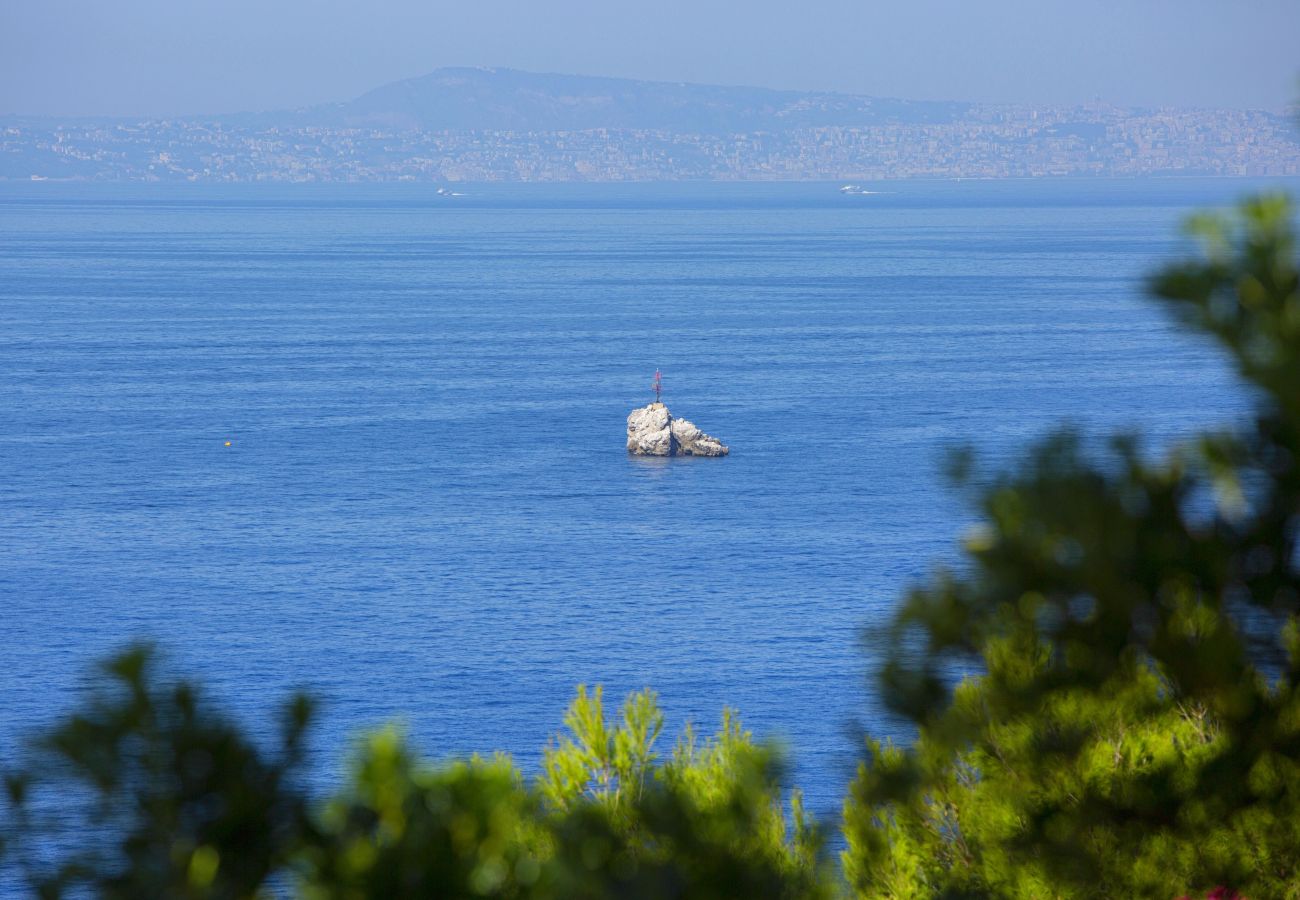 Villa a Massa Lubrense - AMORE RENTALS - Villa Domus Franca con Piscina Condivisa sul Mare