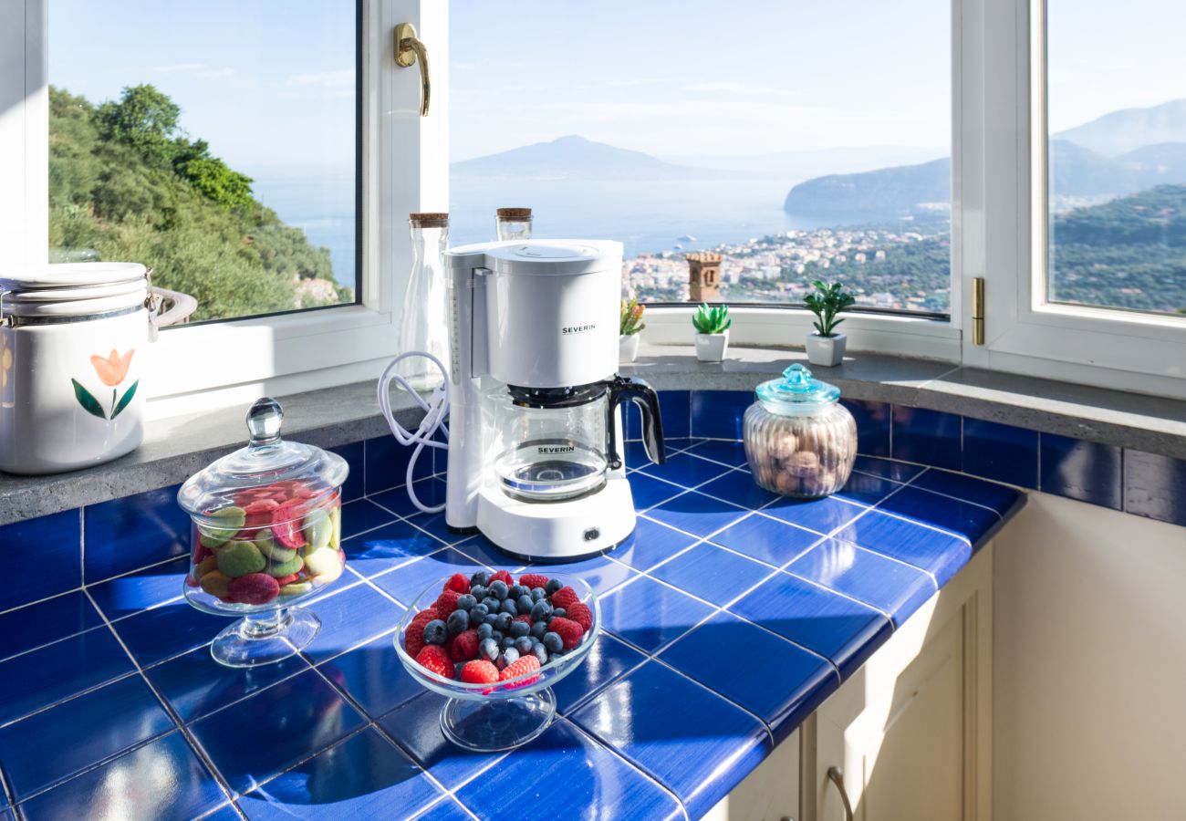 Villa a Sorrento - AMORE RENTALS - Villa Grazielluccia con Vista Mare e Parcheggio