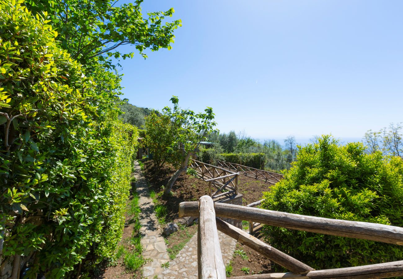 Villa a Massa Lubrense - AMORE RENTALS - Villa Ambra con Vasca Idromassaggio, Giardino e Vista Mare