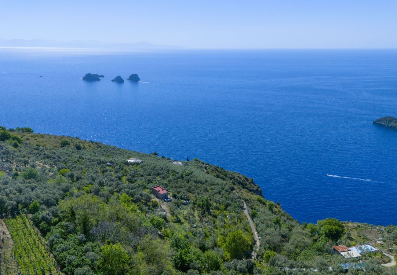 Villa a Massa Lubrense - AMORE RENTALS - Villa Ambra con Vasca Idromassaggio, Giardino e Vista Mare