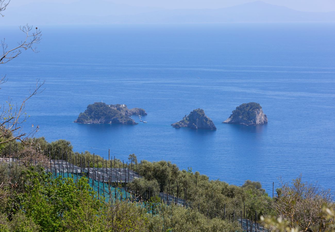 Villa a Massa Lubrense - AMORE RENTALS - Villa Ambra con Vasca Idromassaggio, Giardino e Vista Mare