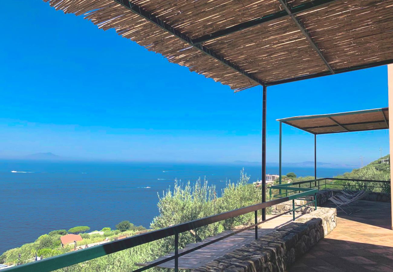 Villa a Massa Lubrense - AMORE RENTALS - Villa Punta San Lorenzo con Terrazze e Vista Mare