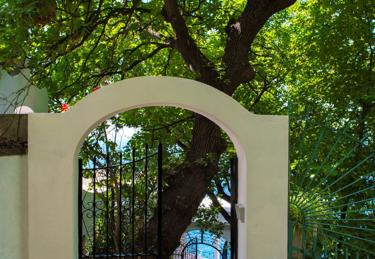 Villa a Positano - AMORE RENTALS - Villa Demetra con Vista Mare e Terrazzo Privato