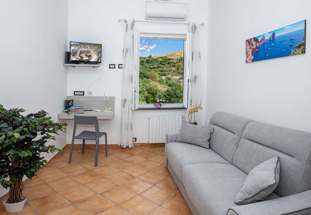 Villa a Sant´Agata sui Due Golfi - AMORE RENTALS - Villa Lions Rose con Piscina e Vista Mare