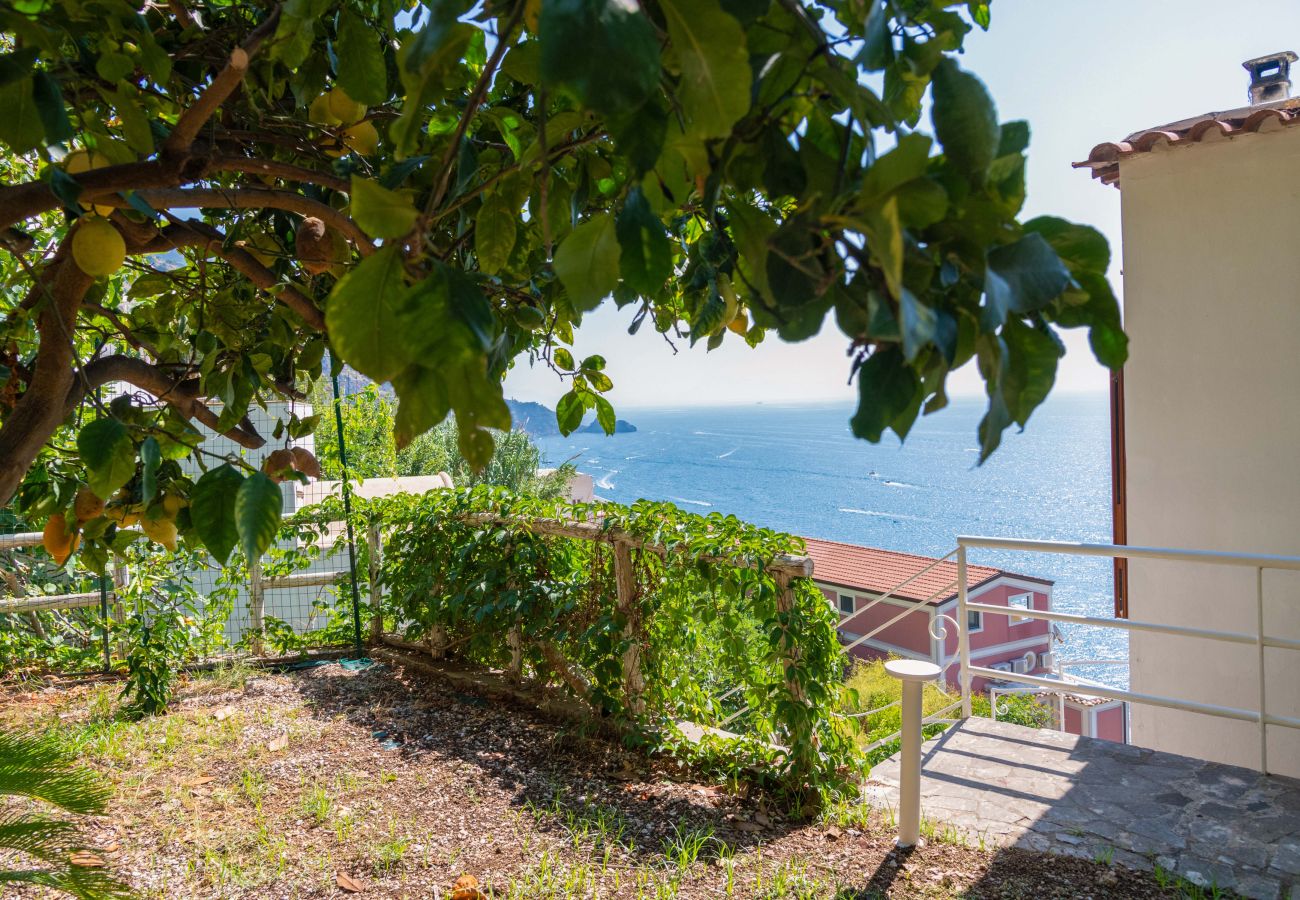 Villa a Praiano - AMORE RENTALS - Villa Jacaranda con Piscina e Vista Mare