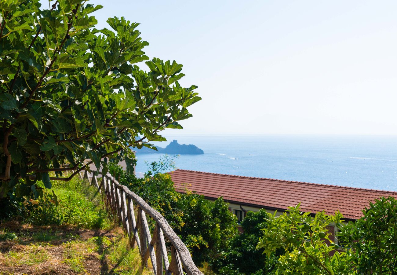 Villa a Praiano - AMORE RENTALS - Villa Jacaranda con Piscina e Vista Mare