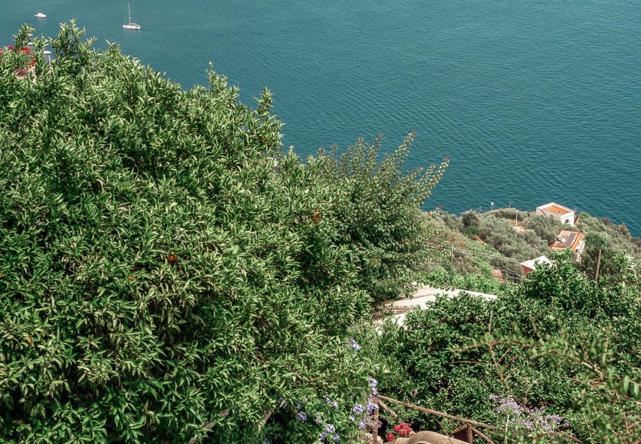 Villa a Ravello - AMORE RENTALS - Villa Pittoresca con Piscina e Vista Mare