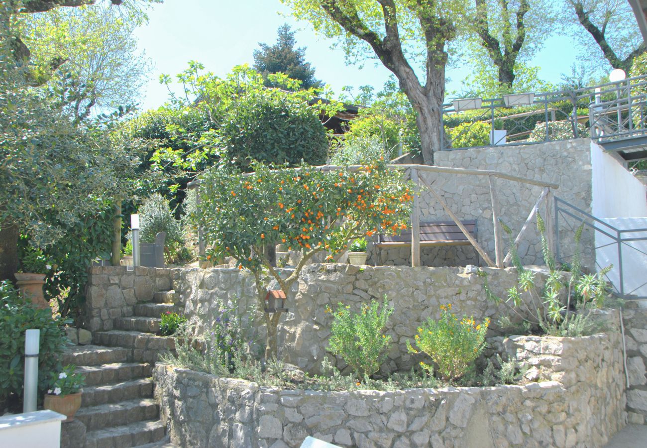 Villa in Sant´Agnello - AMORE RENTALS - Villa La Ventana with Private Swimming Pool, Garden, Jacuzzi, Sea view and Parking