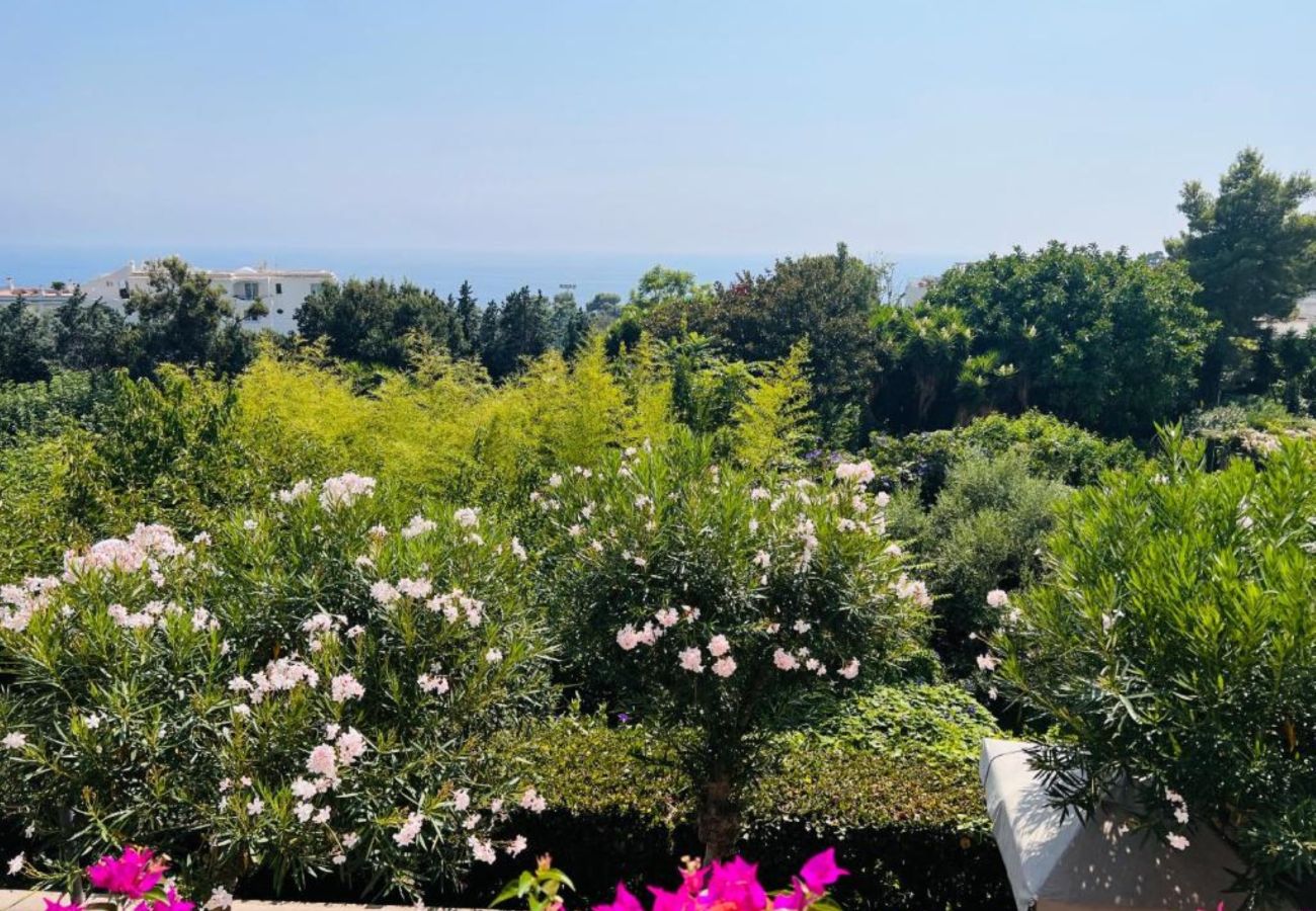 House in Capri - AMORE RENTALS - Villetta Andri with Sea View, a Few Minutes Away from La Piazzetta