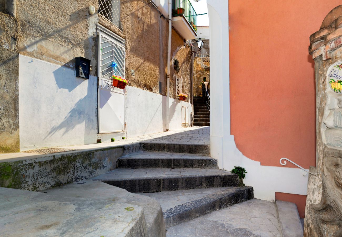 House in Positano - AMORE RENTALS - Residence Barbera with Terrace and Air Conditioning