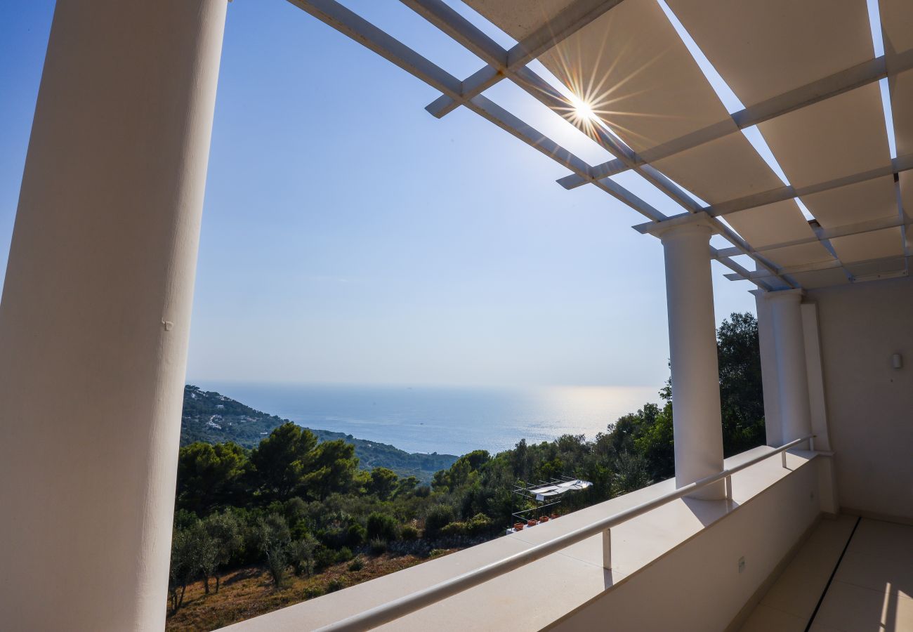 Villa in Anacapri - AMORE RENTALS - Villa Olivella with Pool, Garden and Sea View