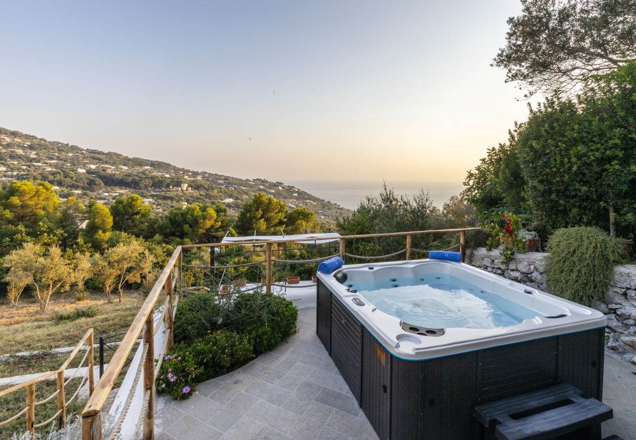 Villa in Anacapri - AMORE RENTALS - Villa Olivella with Pool, Garden and Sea View