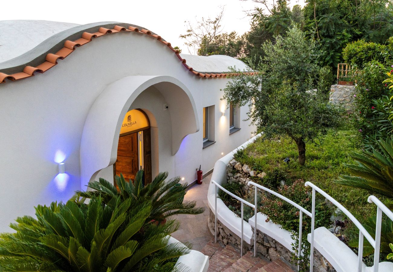 Villa in Anacapri - AMORE RENTALS - Villa Olivella with Pool, Garden and Sea View