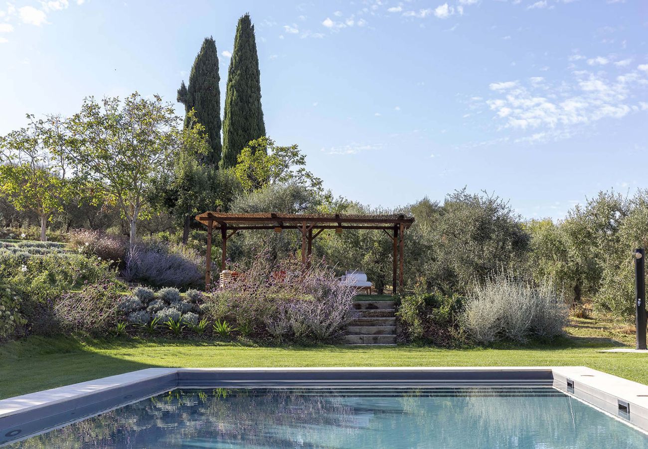 Villa in Sarteano - AMORE RENTALS - Villa Viola with Pool, Garden, Ideal for Weddings